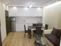  1 bedroom apartment, Center