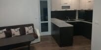 Furnished 1 Schlafzimmer Wohnung, Troshevo