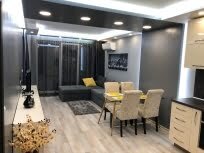 Möbliert 1 Schlafzimmer Wohnung, Center