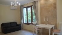 Luxury, Furnished 1 bedroom apartment, Regional hospital