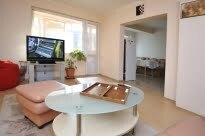 Furnished 1 Schlafzimmer Wohnung, Palace of Culture and Sports
