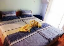 Furnished 2 Schlafzimmer Wohnung, Palace of Culture and Sports