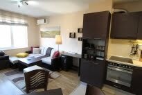  1 bedroom apartment, Levski