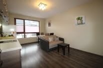 Furnished 1 bedroom apartment, Levski