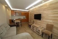 Furnished 1 bedroom apartment, Center