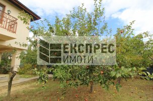 Furnished House, Rakitnika